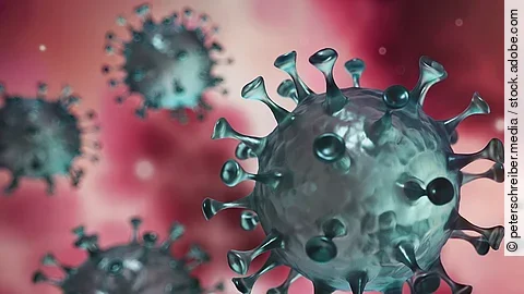 Coronavirus Coronavirus