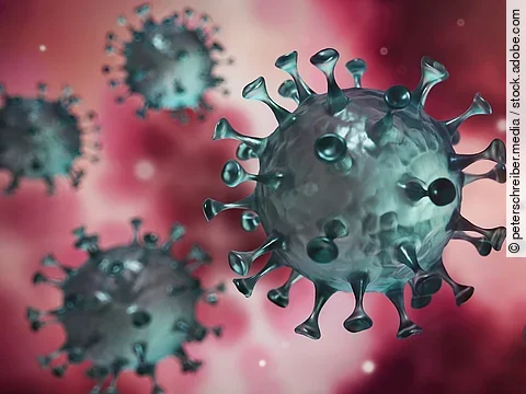 Coronavirus Coronavirus