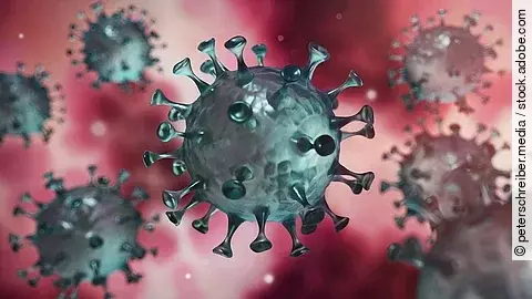 Coronavirus Coronavirus